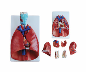 BioLab Products